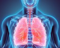 Виды заболеваний лёгких
