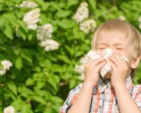 Аллергия у детей: симптомы, развитие, лечение.
